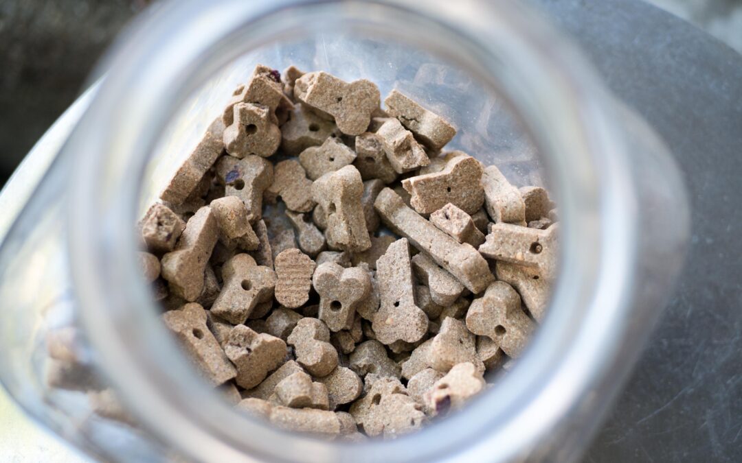 Natural, Simple, Trustworthy: How to Choose Canadian‑Made Pet Treats