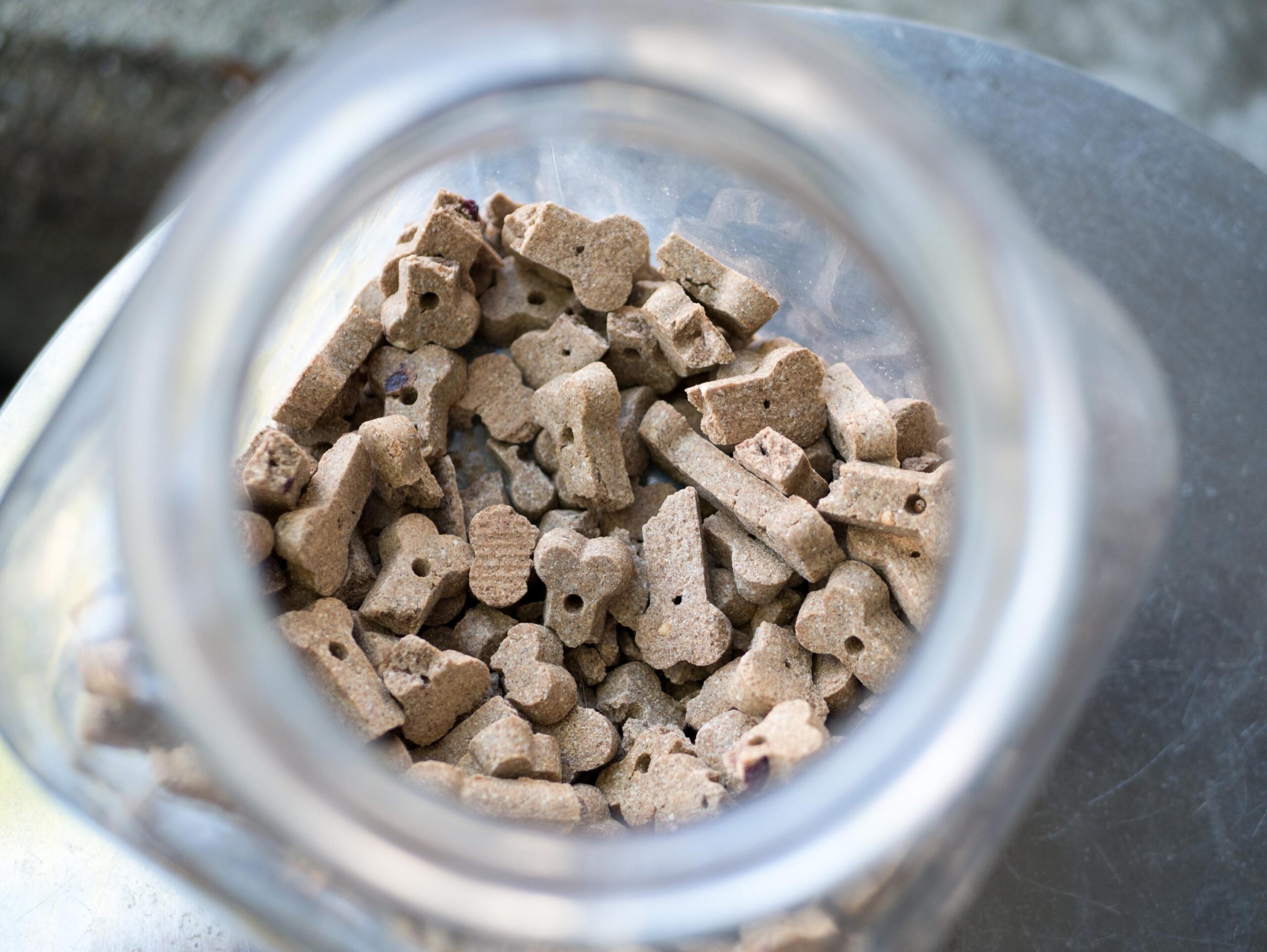 Jar of Dog Treats 2