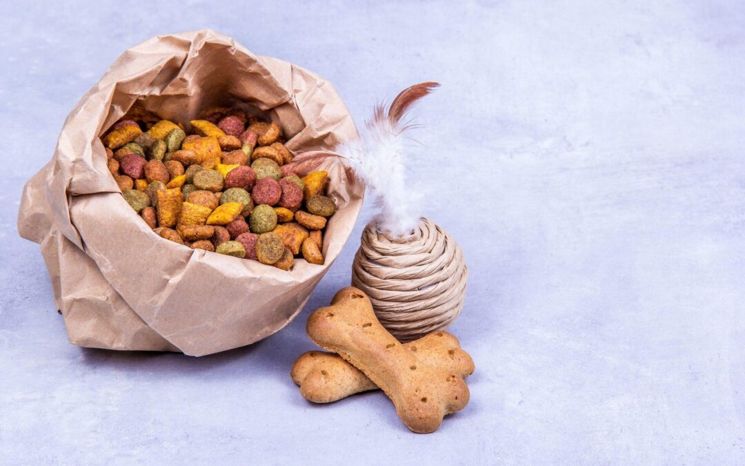 Treat Local, Treat Thoughtful: Why Canadian-Made Pet Products Make Healthier Rewards