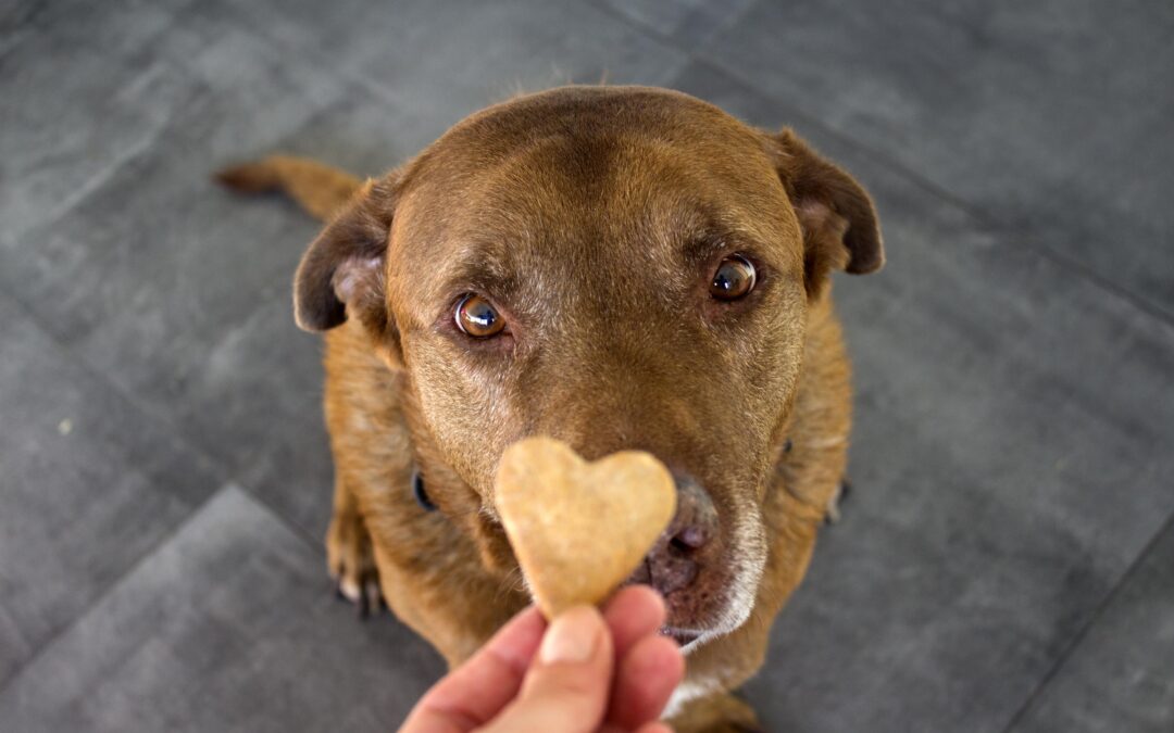 Natural Canadian Pet Treats, Made Easy