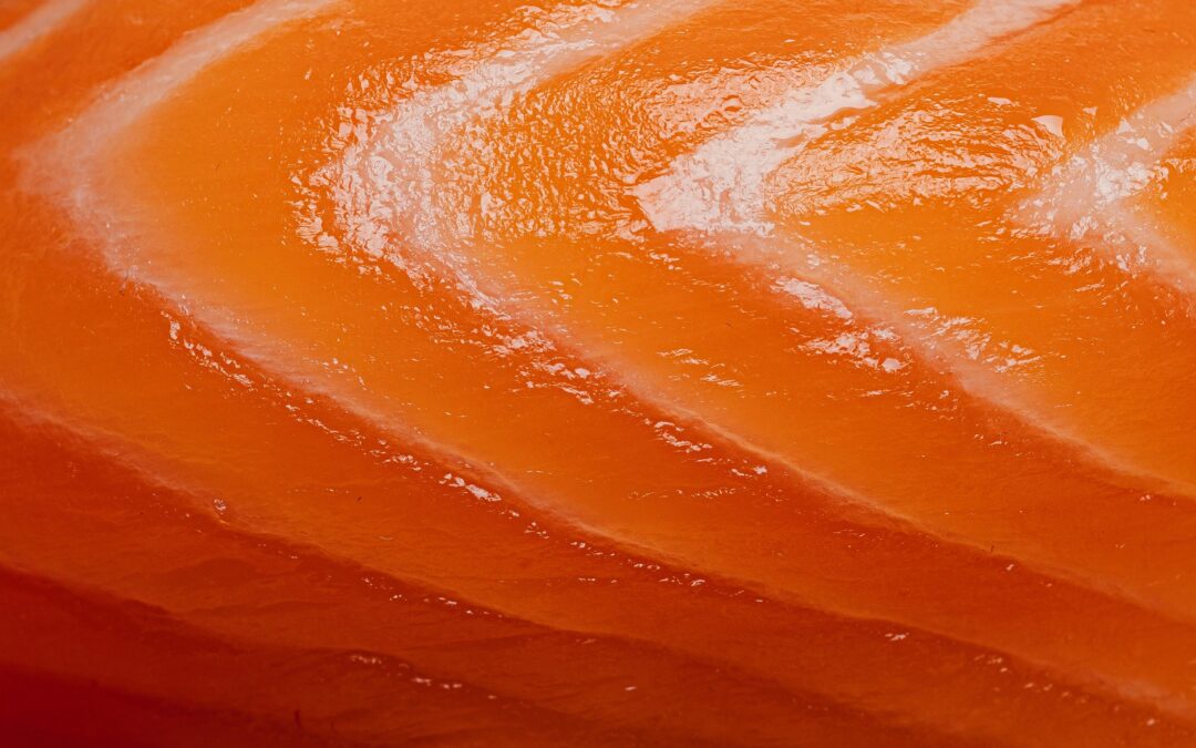 Natural Salmon Dog Treats: The Smart, Tasty Choice for Canadian Pups!