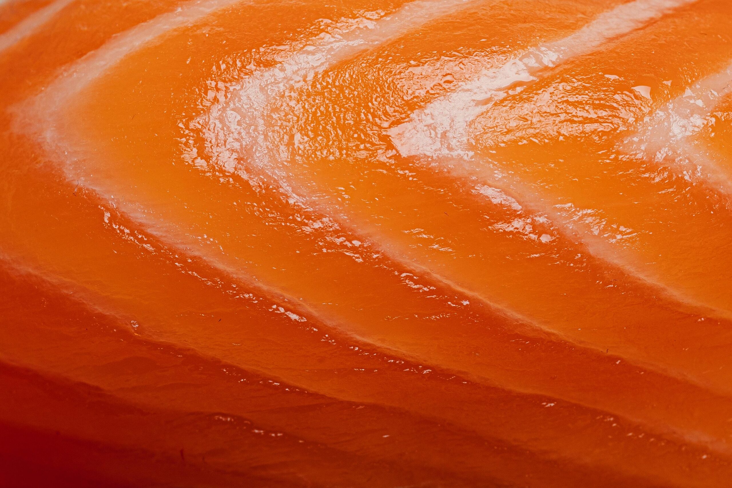Texture of salmon on sushi close-up macro