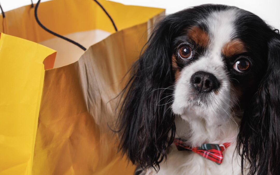 Local Love, Easier Care: How Canadian Pet Products Simplify Every Day