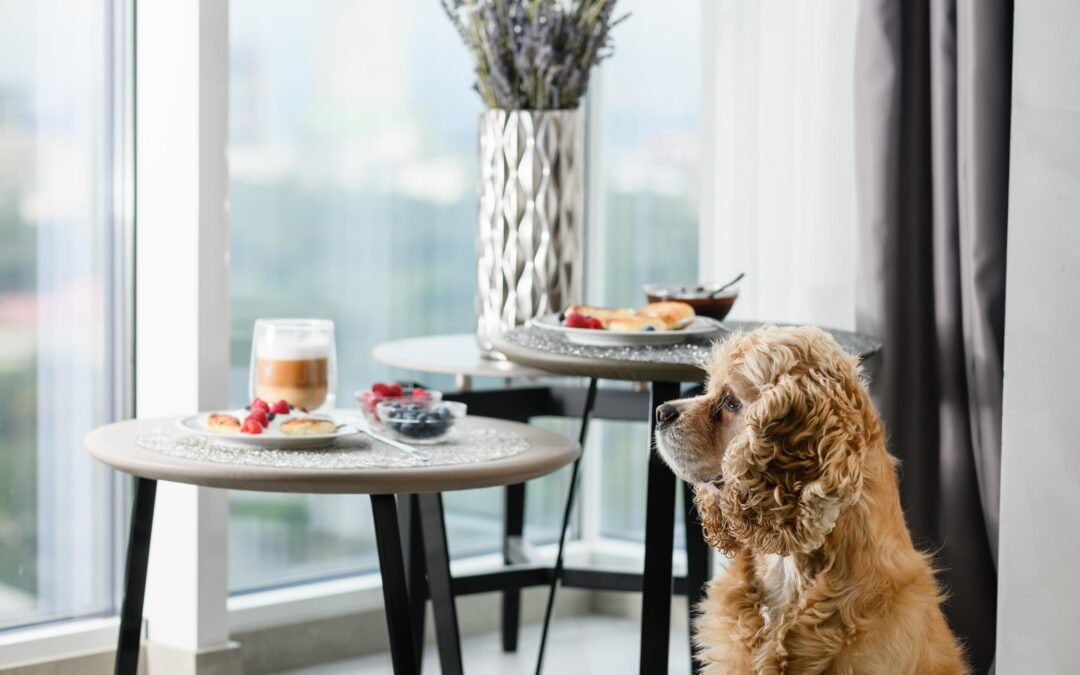 A Cleaner Pet Pantry, The Canadian-Made Way!