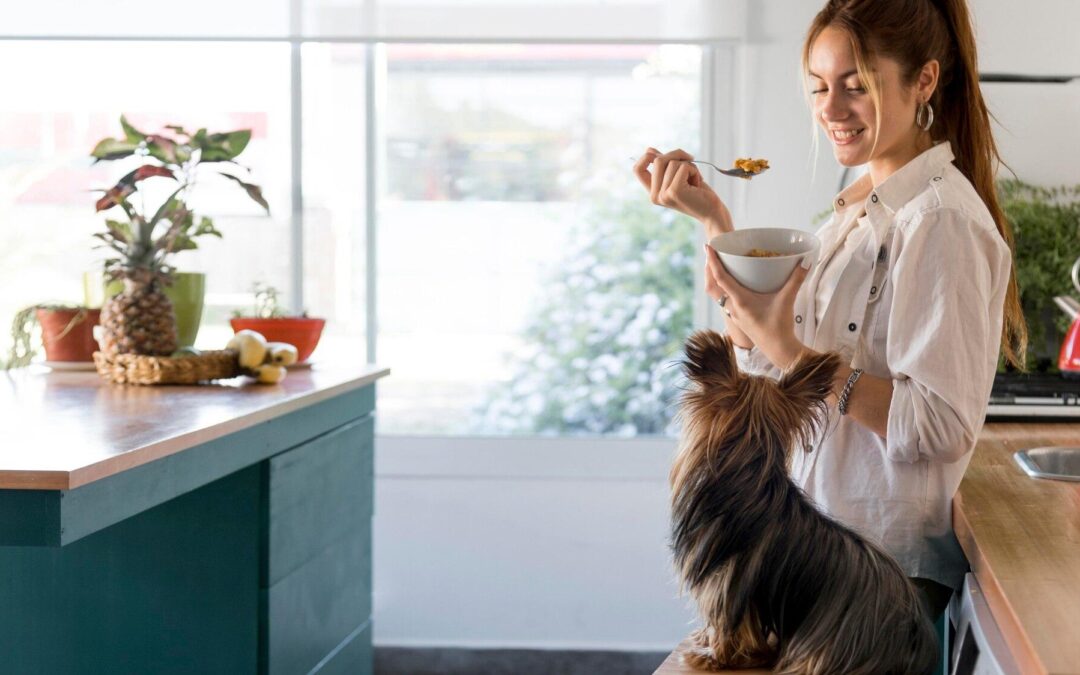 Natural Treats 101: A Simple Canadian Guide for Healthy Dogs and Cats
