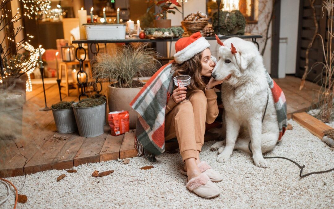 Your Easy Canadian Guide to Shopping Local Pet Products (Without the Overwhelm)