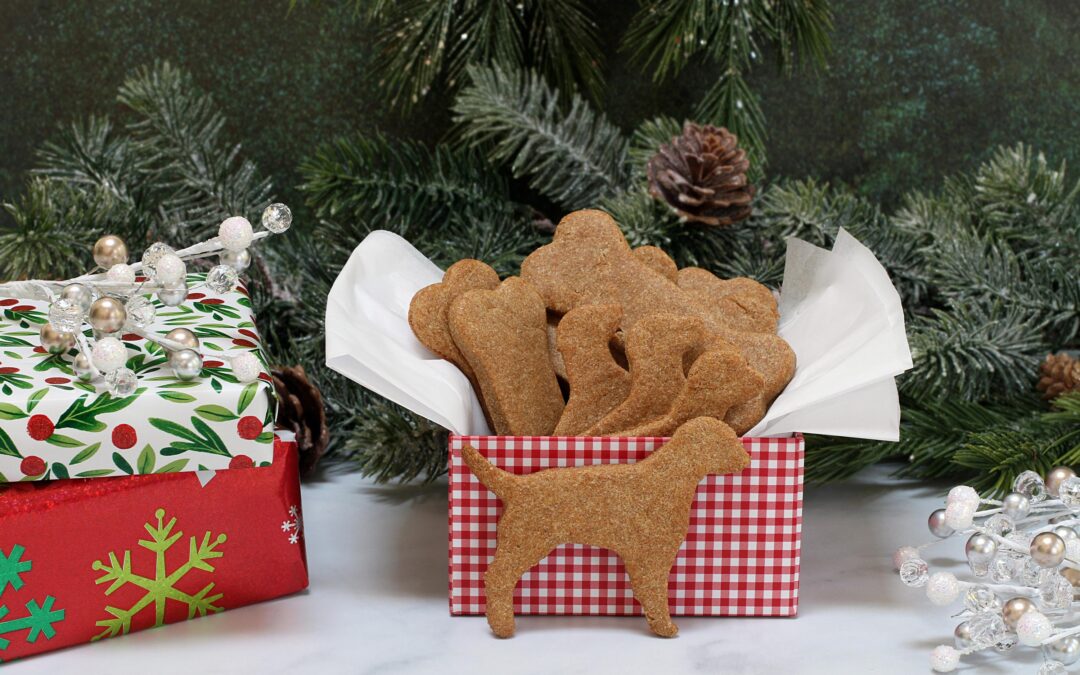 How to Choose Quality Canadian-Made Pet Treats (Without the Overwhelm!)