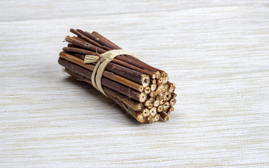 Natural Dog Chews That Last Longer: What to Look For Before You Buy (Canadian Guide)