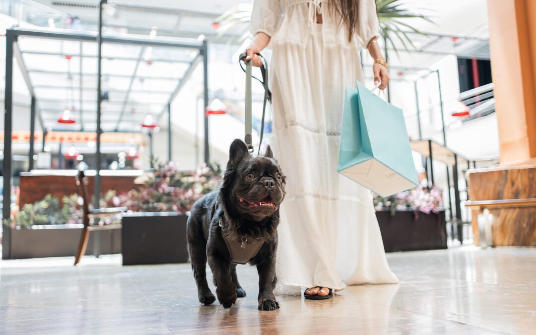 Buy Local, Care Easier: How Canadian Treats Simplify Everyday Pet Care!