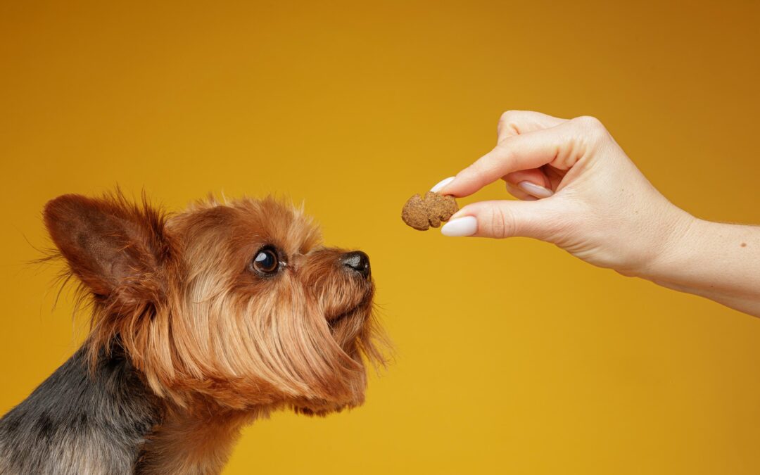 How to Read Pet Treat Labels: A Canadian Pet Parent’s Guide