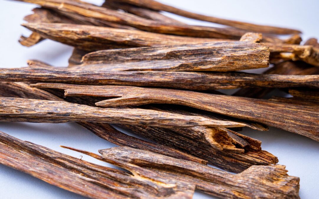 Natural Dog Chews That Last Longer: What to Look For (A Canadian Guide)