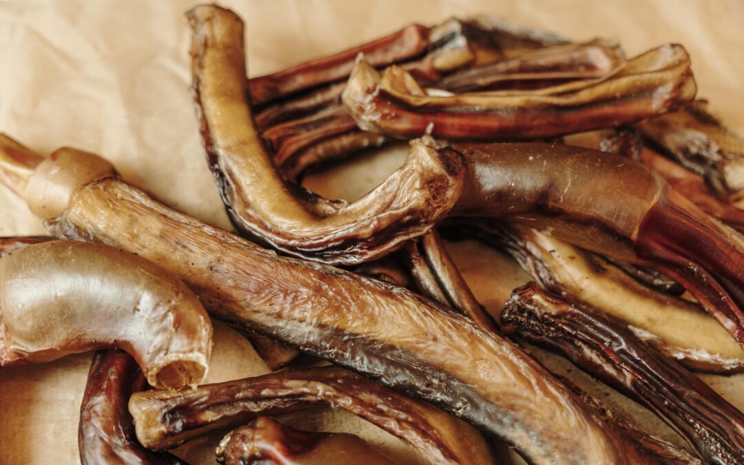 Natural Dog Chews That Last Longer: What to Look For Before You Buy (Proudly Canadian Guide)