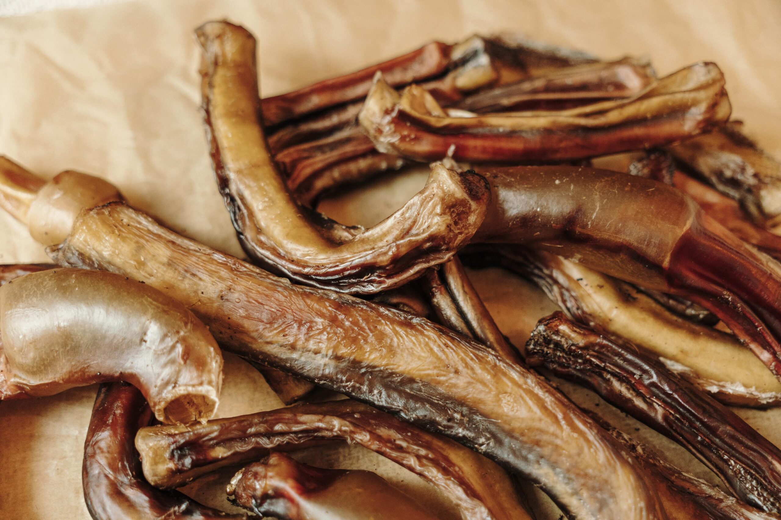 Close up of dried bull pizzle roots arranged on kraft paper. Natural single ingredient dog chews rich in protein and free from artificial additives.