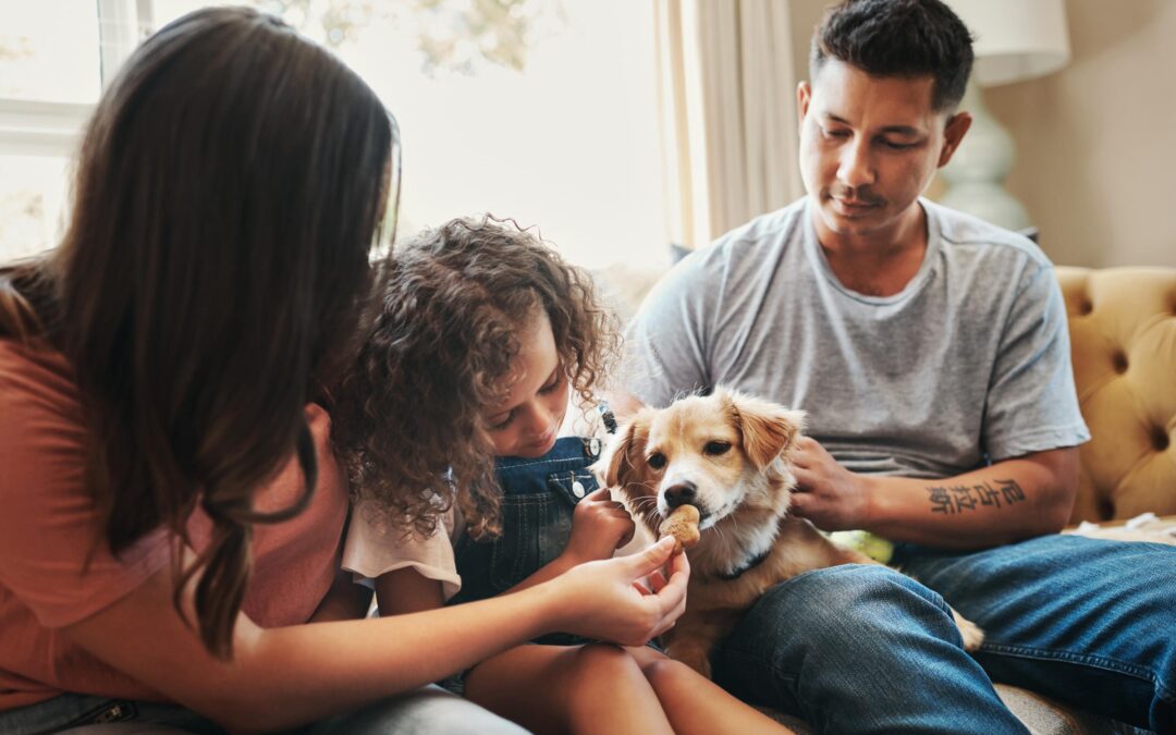 Canadian-Made Pet Treats: How To Choose Quality Without The Overwhelm