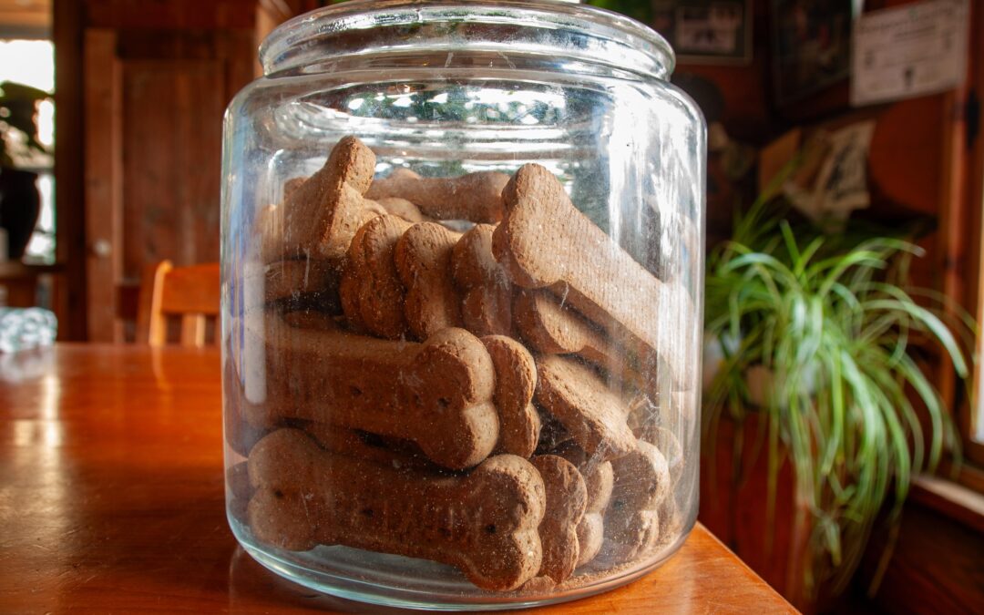 Local Treats, Simpler Care: Why Canadian-Made Makes Everyday Pet Care Easy