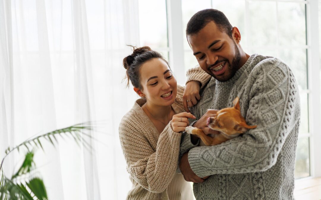 How to Read Pet Treat Labels and Spot What Matters Most — A Canadian Pet Parent’s Guide