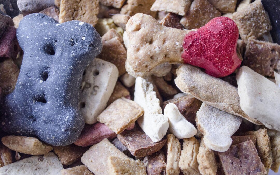 Single-Ingredient Dog Treats in Canada: Your Practical Buying Guide