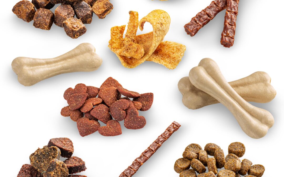 Natural Salmon Treats for Dogs: A Simple Guide to Flavour and Quality