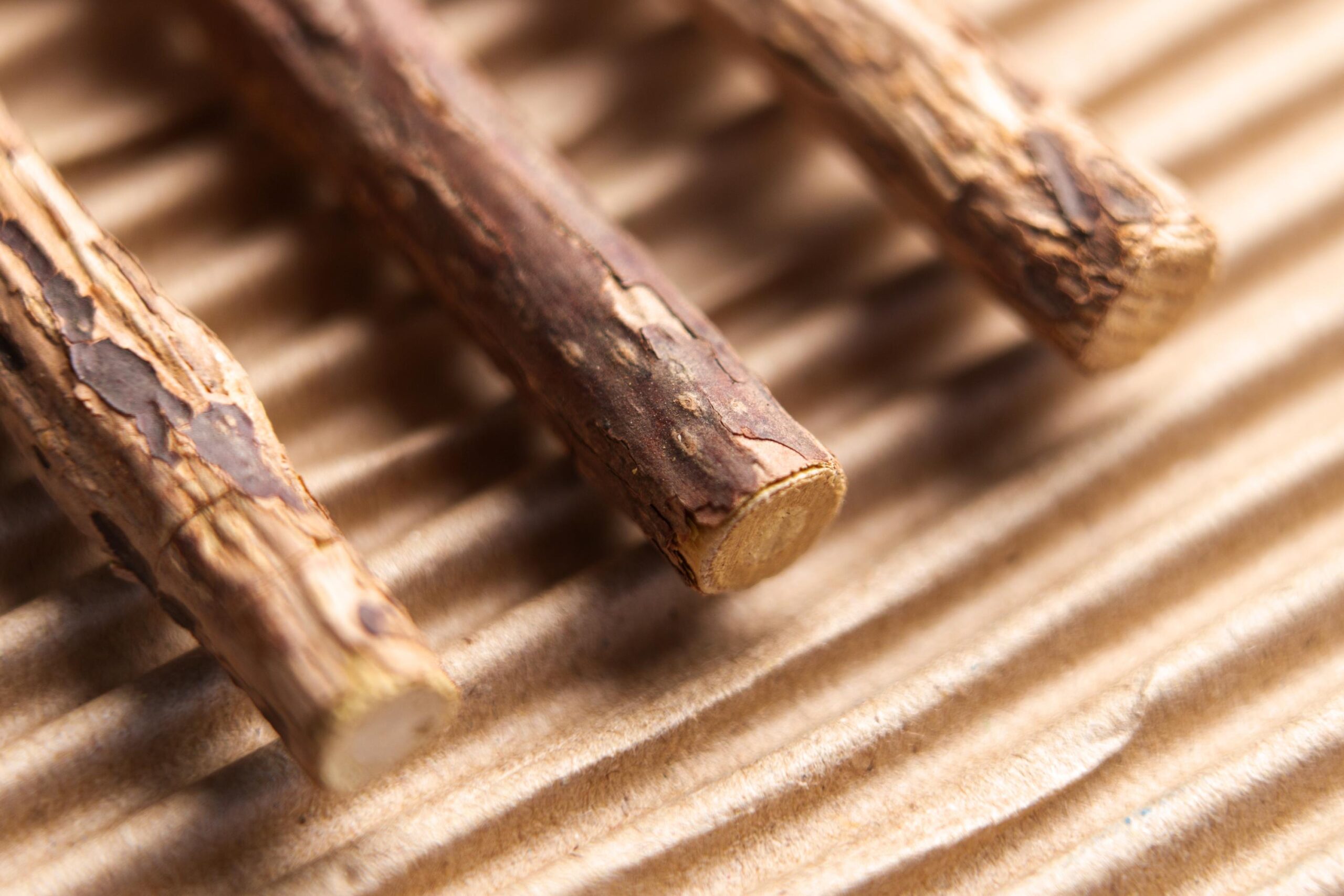 Set of cat toys. Natural wooden sticks with bark on paper background.