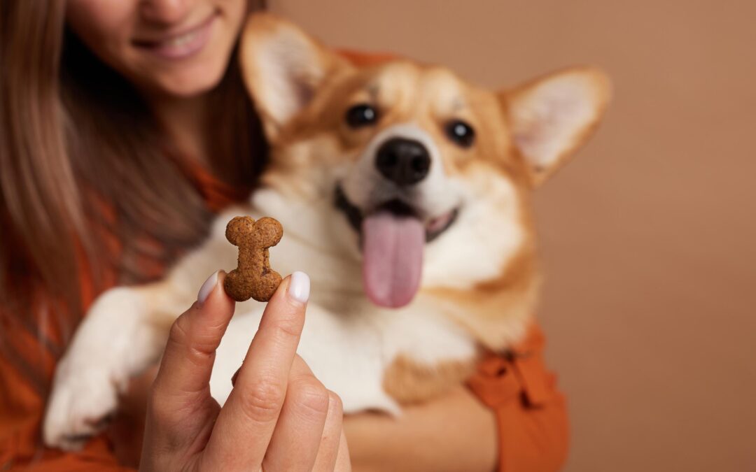 Less Guesswork, More Peace of Mind: Your Canadian Guide to Wholesome Pet Treats!