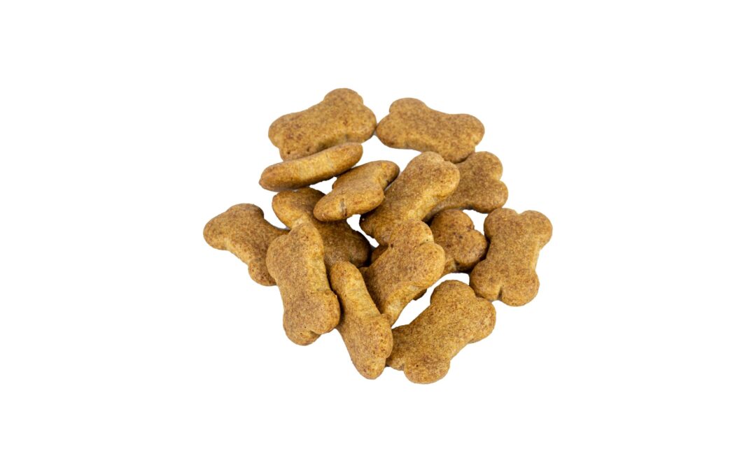A Canadian Guide to Natural Salmon Treats for Dogs: Flavor & Quality You Can Trust