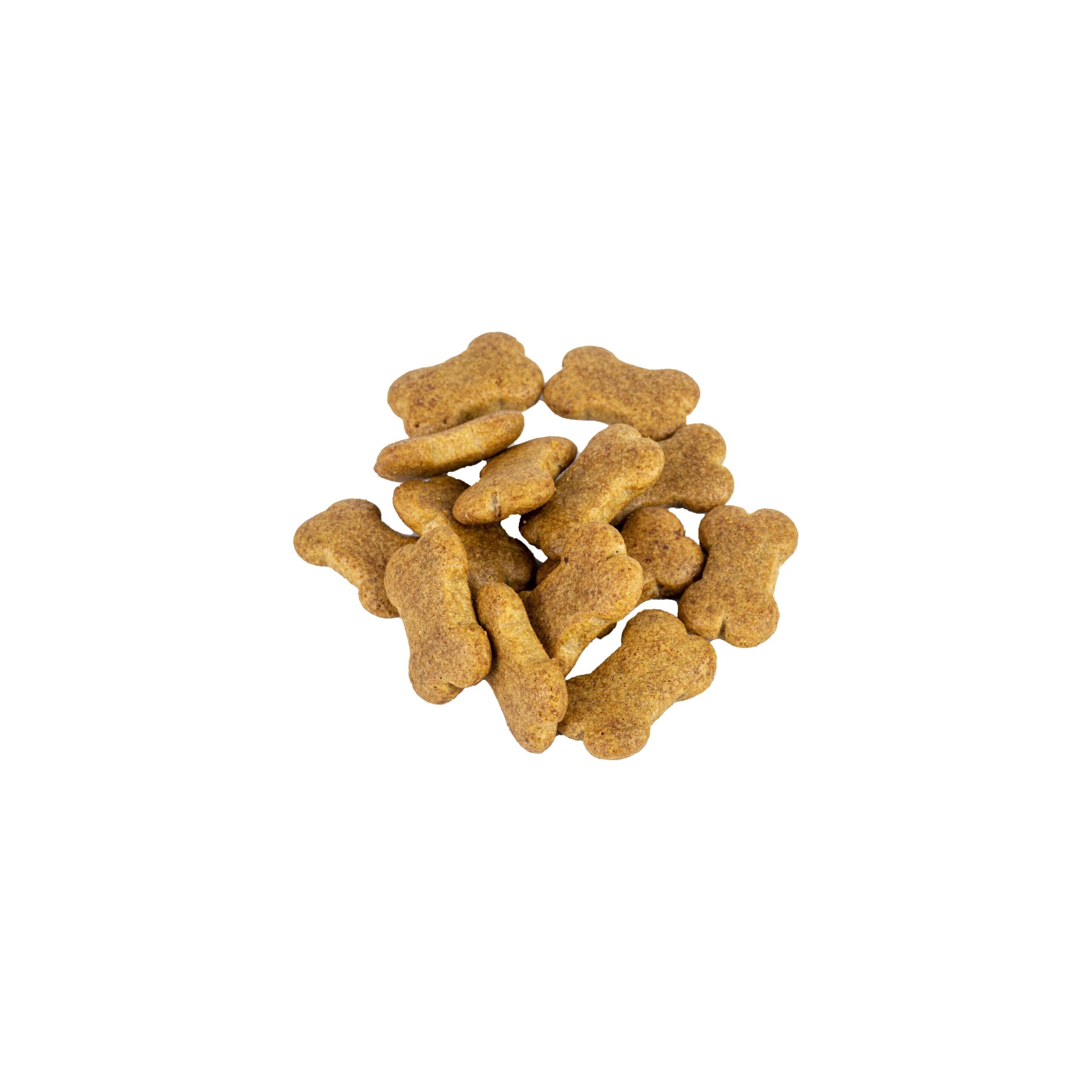 Pile of dog food isolated on white background. Dog food.