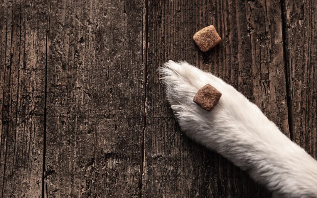 How to Choose Canadian-Made Pet Treats for a Simpler Daily Routine