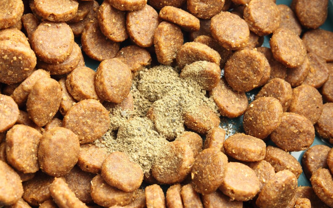 Single-Ingredient Dog Treats in Canada: What to Look For Before You Buy