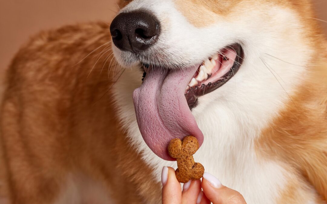 Cleaner Treat Routine, Canadian Made: Simple Steps for Healthier, Happier Pets