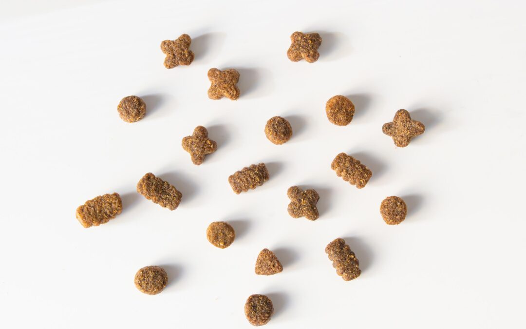 Wholesome Dog Treats, Less Guesswork: A Canadian Pet Parent’s Guide