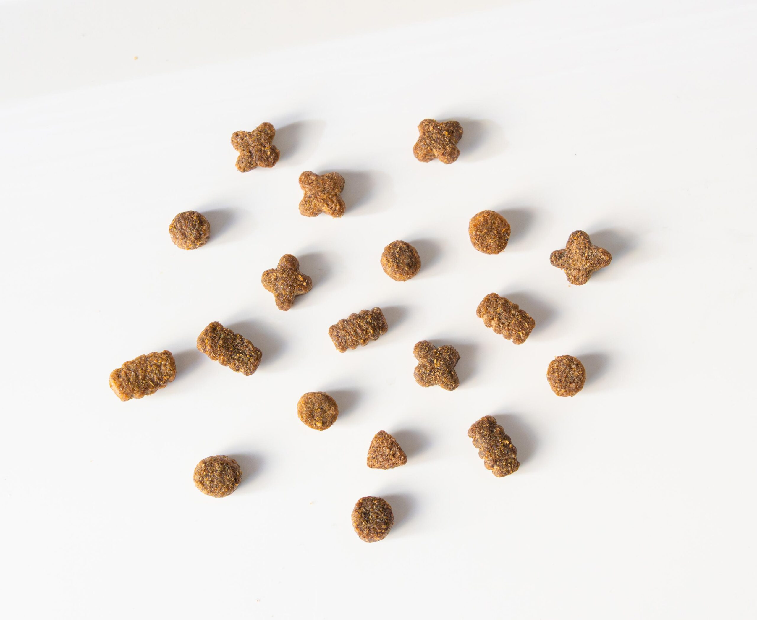Dry pet food in sunlight, dog kibble pile, scattered puppy pellets, small canine protein croquette