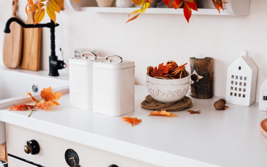 Your Fall Pet Pantry Reset: Canadian-Made Favourites for Happy, Healthy Pets
