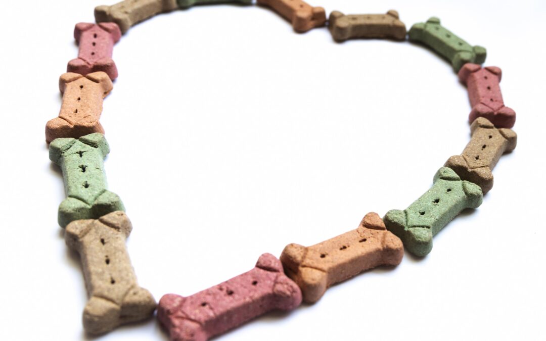 Single-Ingredient Dog Treats in Canada: What to Look For Before You Buy