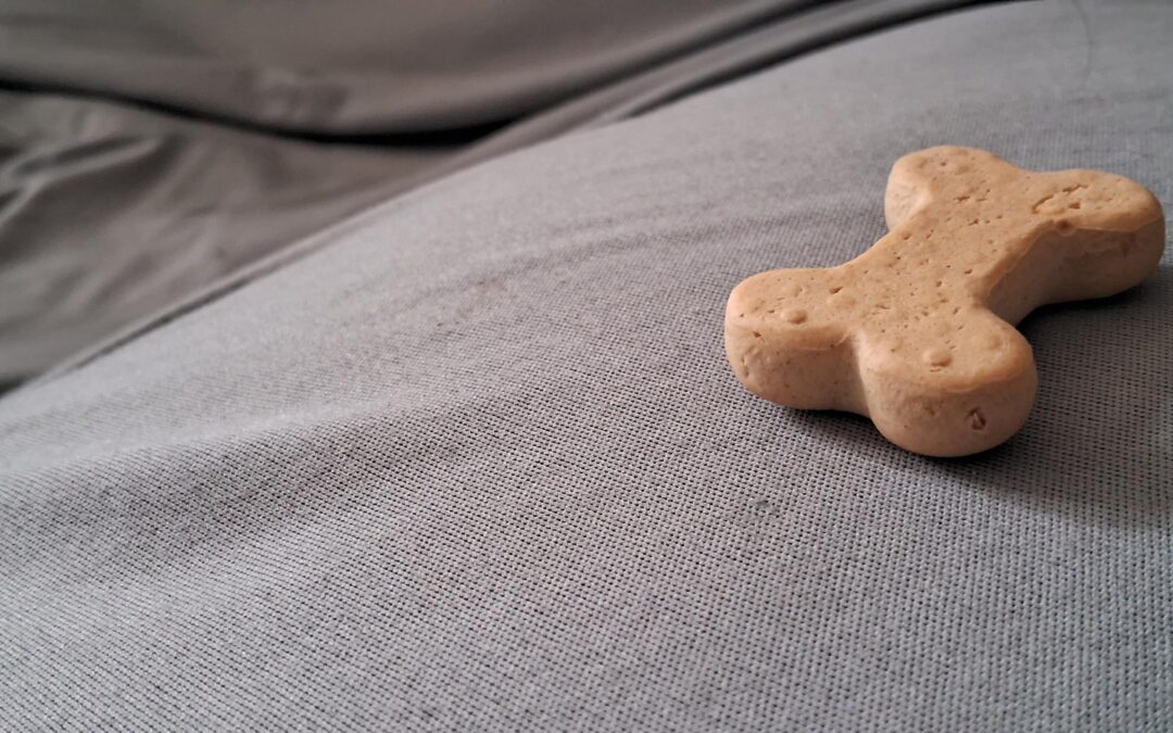 Wholesome Treats, Less Guesswork: A Canadian Pet Parent’s Guide for Dogs and Cats