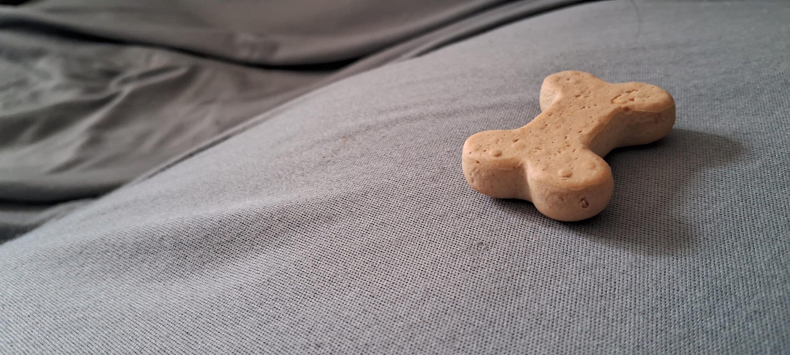Small crunchy dog bone treat placed on a grey fabric surface