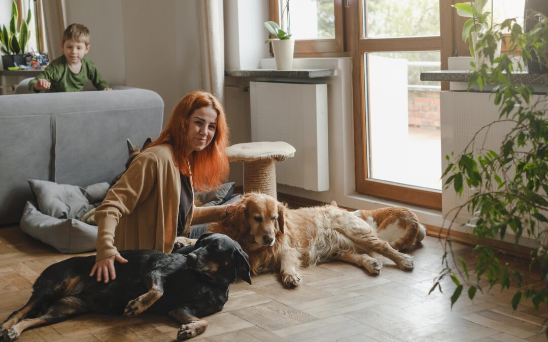 How to Choose Canadian-Made Dog Treats: A Simple Guide for Pet Parents