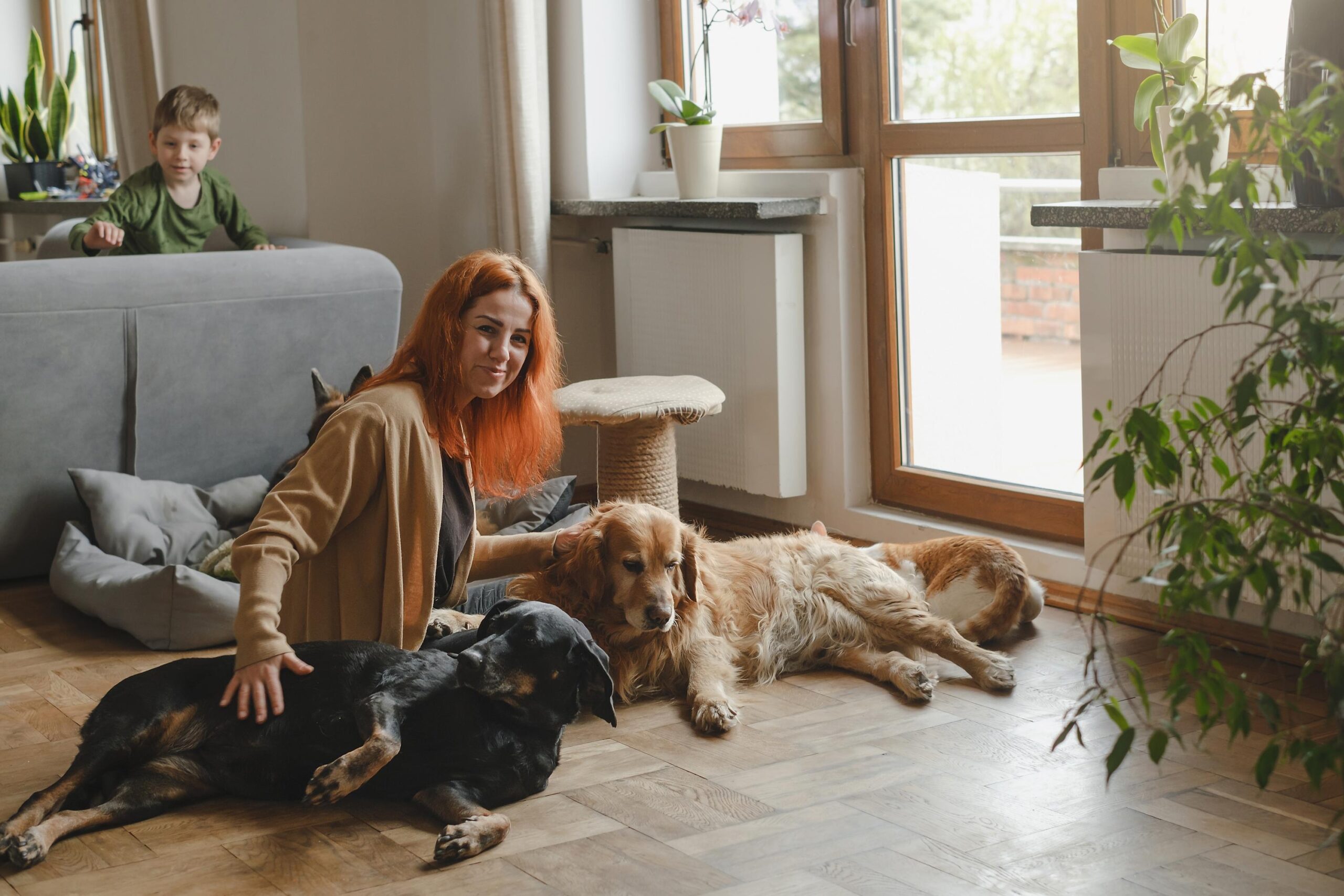 Woman with three dogs cuddling on the floor