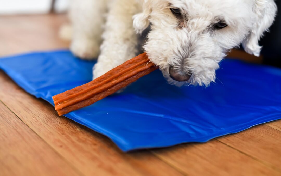 Natural Long-Lasting Dog Chews: How to Spot Quality and Value (The Canadian Way!)