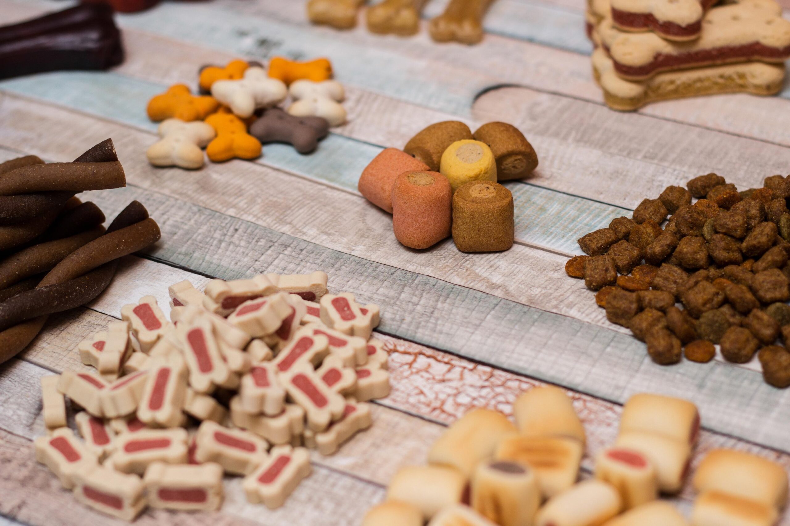 Pet food, snacks for dogs