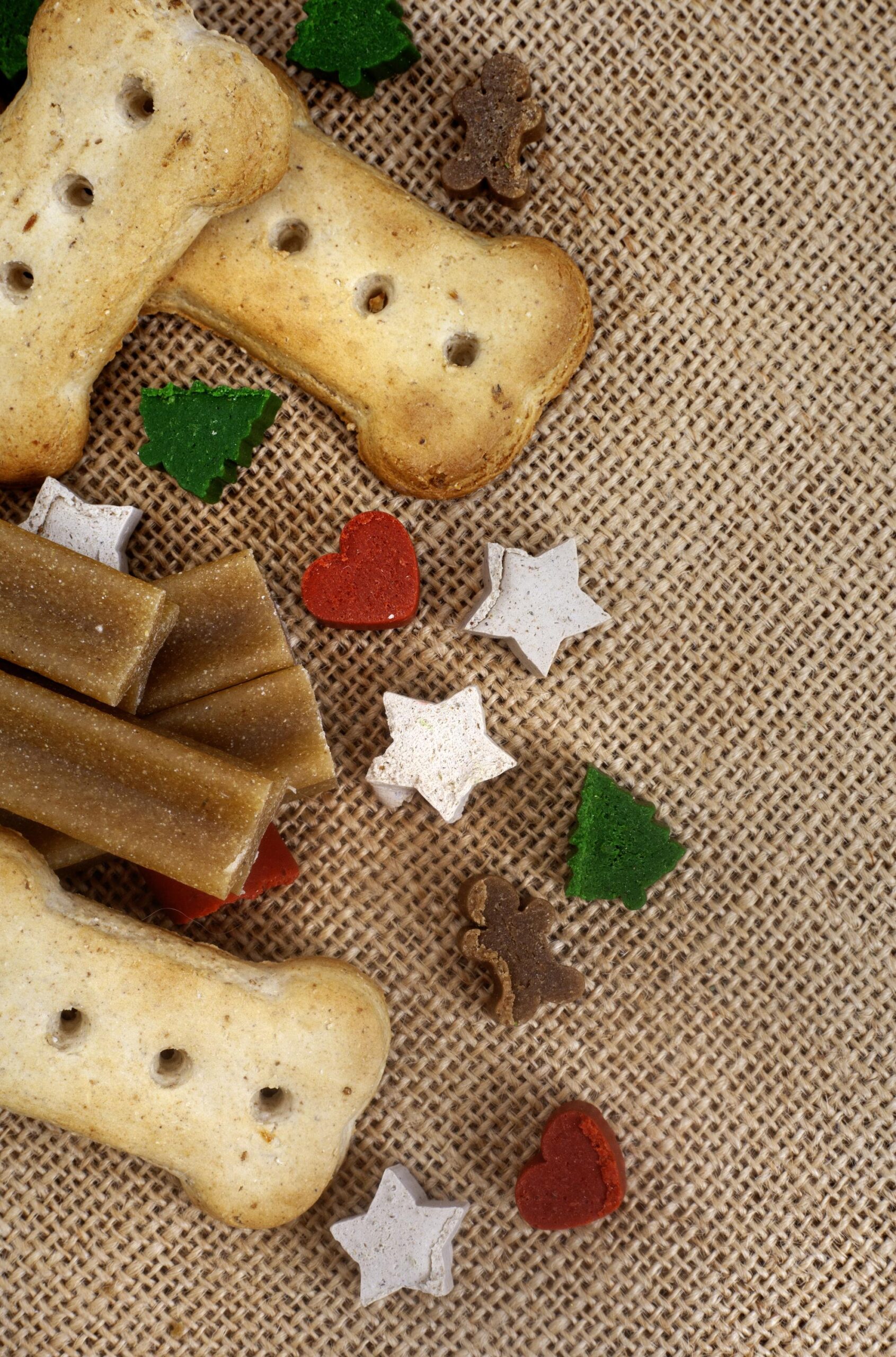Festive Christmas Dog Biscuits and Treats on Rustic Burlap