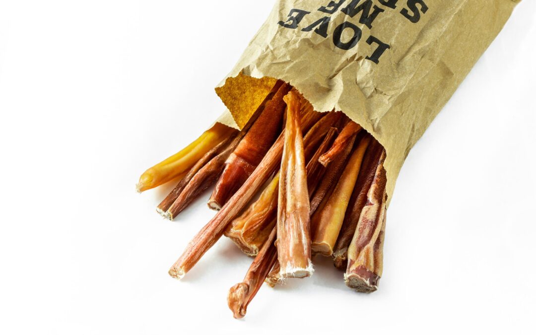 Single-Ingredient Pet Treats in Canada: What to Look For Before You Buy