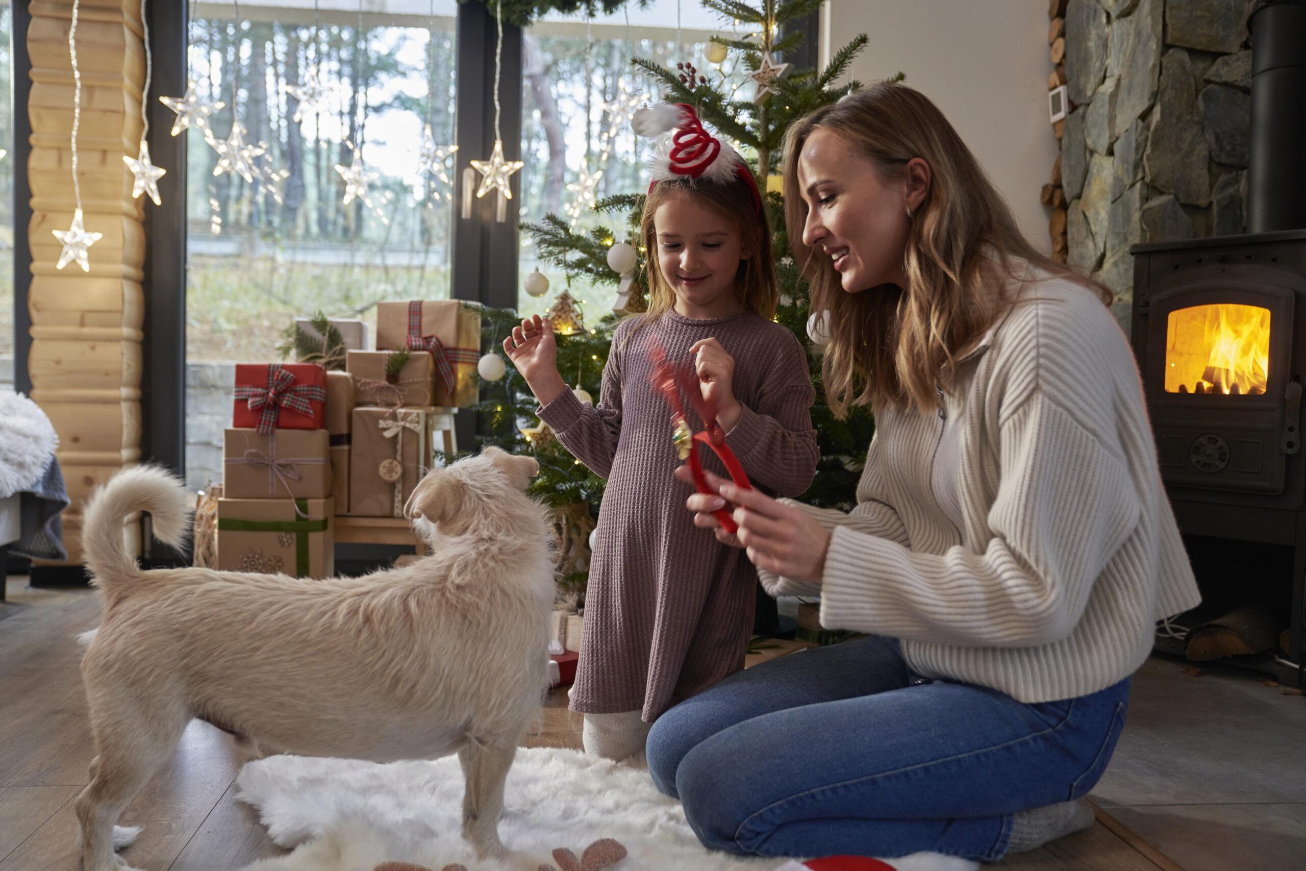 Family playing with dogs during Christmas time