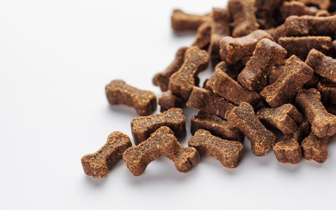 How to Read Pet Treat Labels: A Canadian Guide to Trustworthy Choices